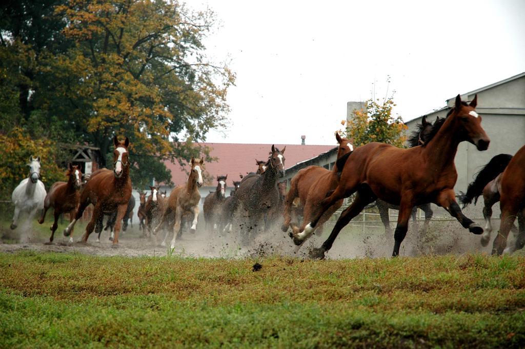 Palac Racot Kościan Exterior foto